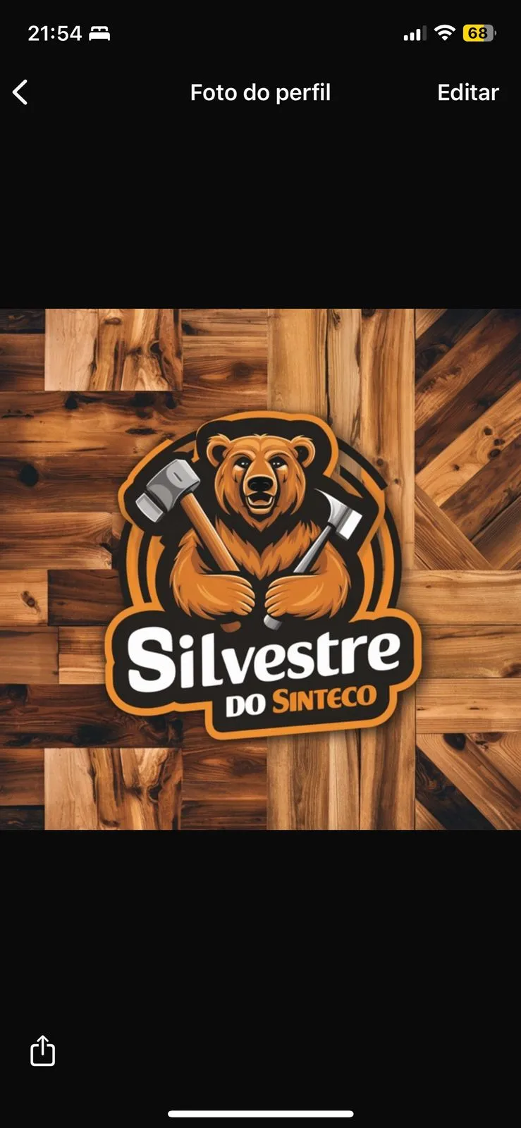 Super Sinteco – Silvestre do Sinteco - Foto 1