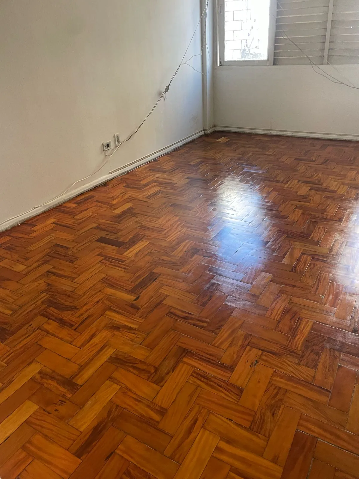 Super Sinteco – Silvestre do Sinteco - Foto 2