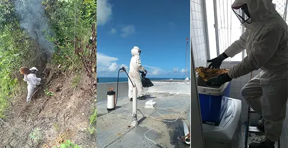 Selva Podas - Foto 2