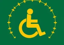 Camarote da Acessibilidade no Carnaval de Olinda