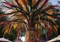 Pitombeira dos Quatro Cantos