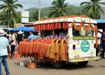 perdidos e achados no carnaval de olinda