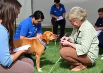 workshop voltado a protetores da causa animal