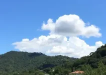 Olinda