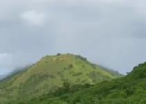 Olinda