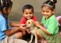 cuidados com animais