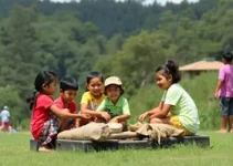 programação de férias Olinda