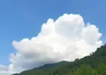 previsão do tempo em Olinda