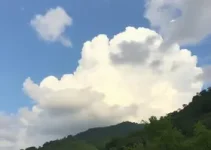 previsão do tempo Olinda