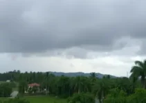 previsão do tempo Olinda