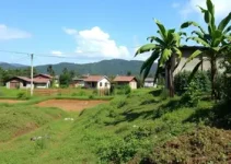 regularização fundiária