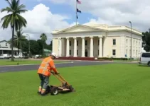 mutirão de capinação