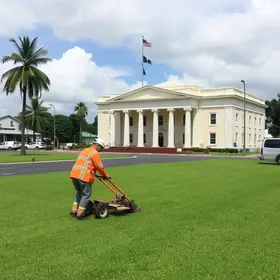 mutirão de capinação