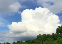 previsão do tempo Olinda
