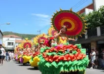 carnaval em Olinda