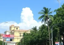 notícia não encontrada