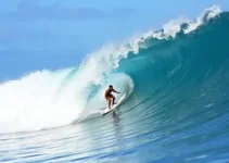 Surf Kids Geração Futuro