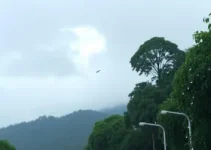 previsão do tempo Olinda