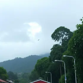 previsão do tempo Olinda