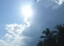 previsão do tempo Olinda