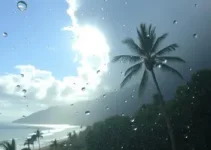previsão do tempo olinda